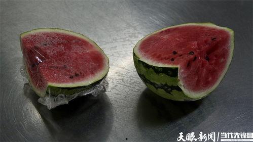 瓜菌菌吃瓜,揭秘瓜界趣闻