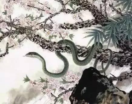山东属蛇明星,揭秘山东籍属蛇明星的魅力与成就