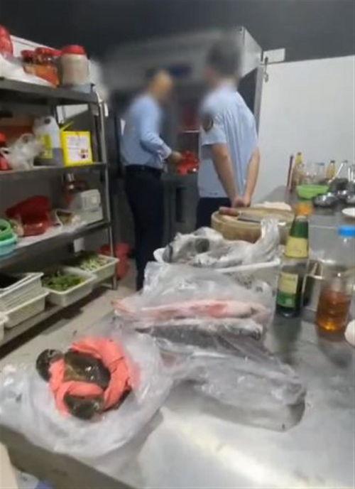 北海饭店爆料事件视频大全