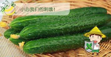 六九吃瓜,揭秘娱乐圈那些不为人知的幕后故事