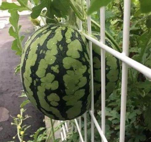 月底吃瓜,盘点娱乐圈最新热点事件