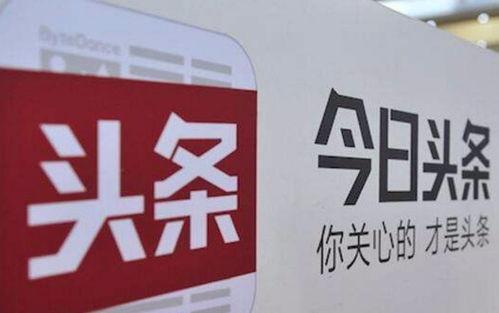 今日头条小白怎么发文章,轻松掌握今日头条文章发布技巧