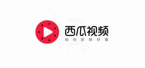 西瓜视频惠州今日头条,西瓜视频带你领略惠州风采