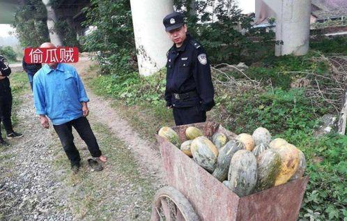 利川吃瓜新闻事件最新,一场网络舆论的风暴与反思