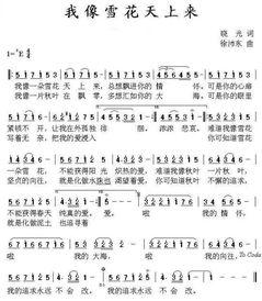 网红歌曲伤心的雪花试听,冬日里的情感共鸣之旅