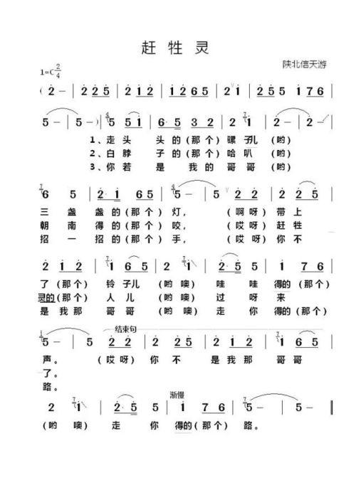 陕北网红歌曲,唤起乡愁的旋律之旅