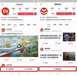 如何学习头条小程序,学习攻略全解析