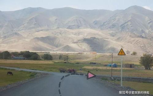 新疆昌吉市网红路,探寻新疆风情新地标