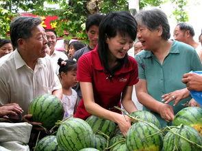 瓜农吃瓜图片,甜蜜瞬间定格