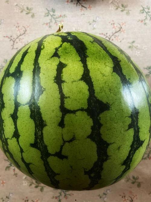 南宁演艺学院吃瓜,揭秘校园里的“吃瓜”风云