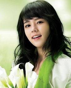 韩国电视剧女明星,韩国电视剧女明星的璀璨人生