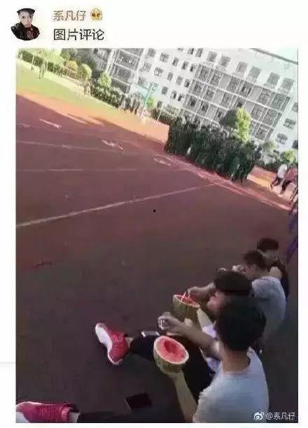 吃瓜魔性视频下载,下载热潮席卷网络