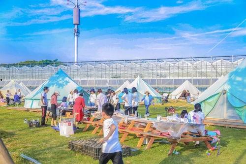 露营网红有哪些明星,明星网红引领的户外生活新潮流