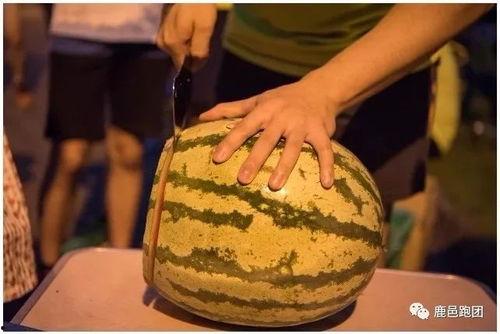 吃瓜比赛需要多久,吃瓜比赛，谁将最快夺冠？