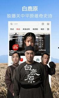 爆料掌门人曾志伟视频下载,揭秘幕后真相与网络热议