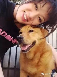 明星喜欢狗狗,揭秘明星与狗狗的温馨故事