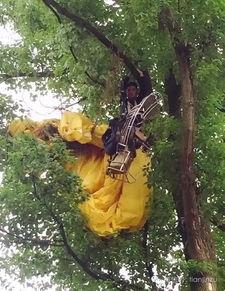 重庆男人树上吃瓜,诠释山城生活新风尚