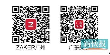 粤头条,聚焦广东热点，解码民生百态