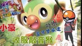 小智理性吃瓜,揭秘娱乐圈幕后真相