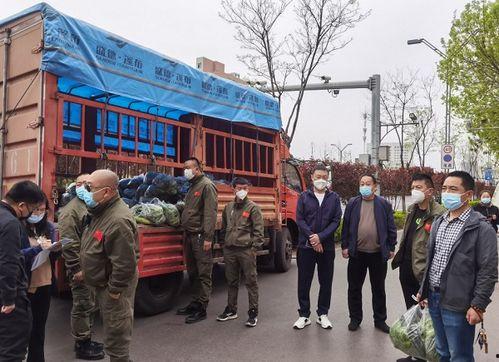 惠泽县黄河镇新闻头条,聚焦乡村振兴，共绘美好家园新画卷