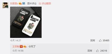 网红用过的手机壳图片,潮流趋势与个性选择