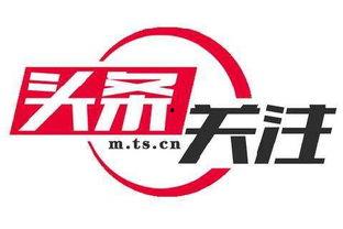 金水闸今日头条新闻,紧急救援行动展开，详情揭晓