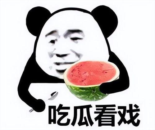 坐等吃瓜表情包图片搞笑